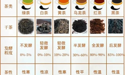 身上痦子多可能会是因为什么-请问我身上好多痱子好痒怎办网—知名的身上痱子多怎么回事网站,分享身上好多痱子很痒怎么办知识